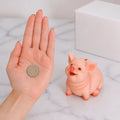 Tirelire Cochon Sans Ouverture