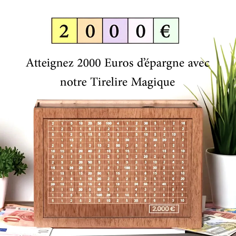 tirelire-japonaise-2000-euros