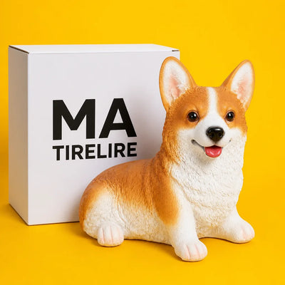 TIRELIRE SOLO